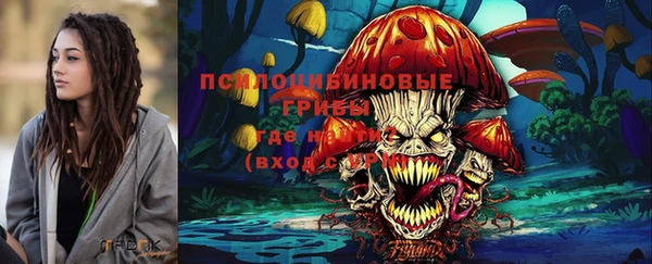 амфетамин Белокуриха