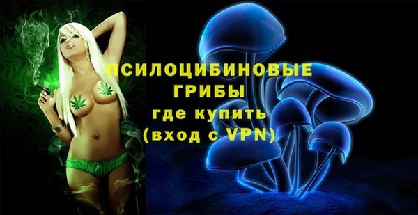 эйфоретик Беломорск